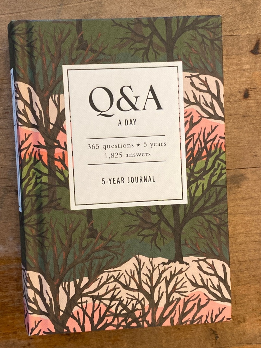 Q&A A Day 5-Year Journal | Blank Unused Daily Guided Journal⁠